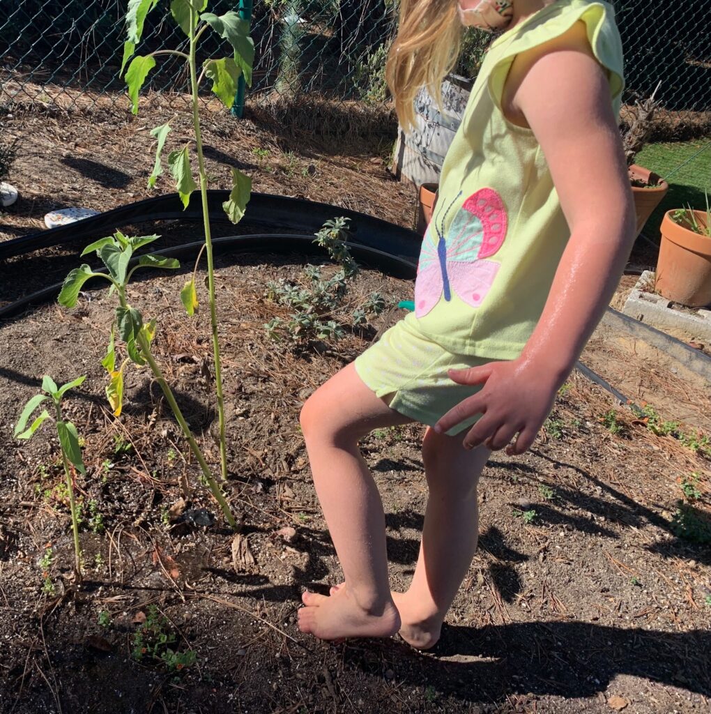 Child exploring the beginning of a garden