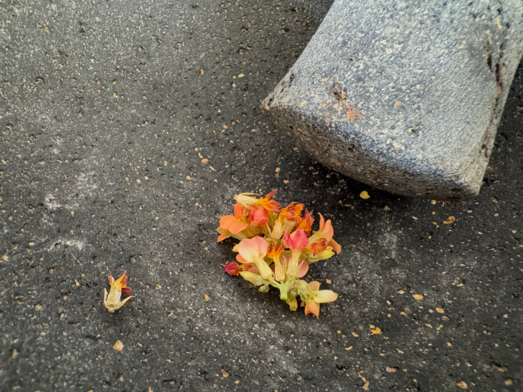 Grinding flowers with mortar and pestal