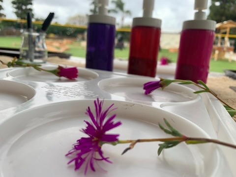 Nature: the flower as a paintbrush