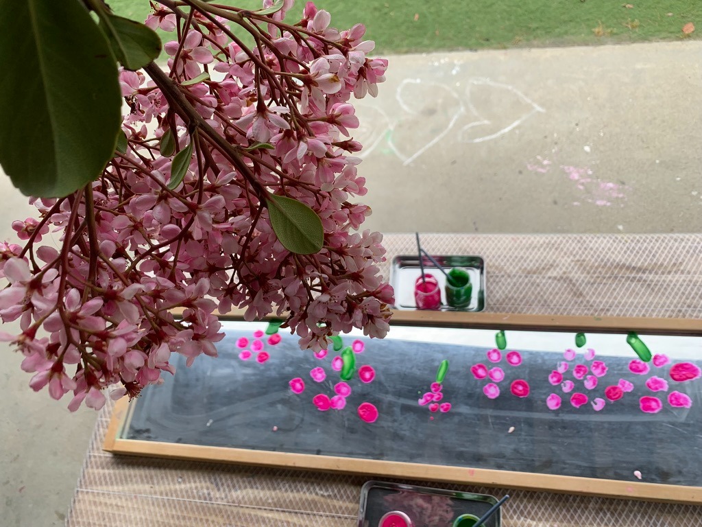 Nature reflected in a mirror